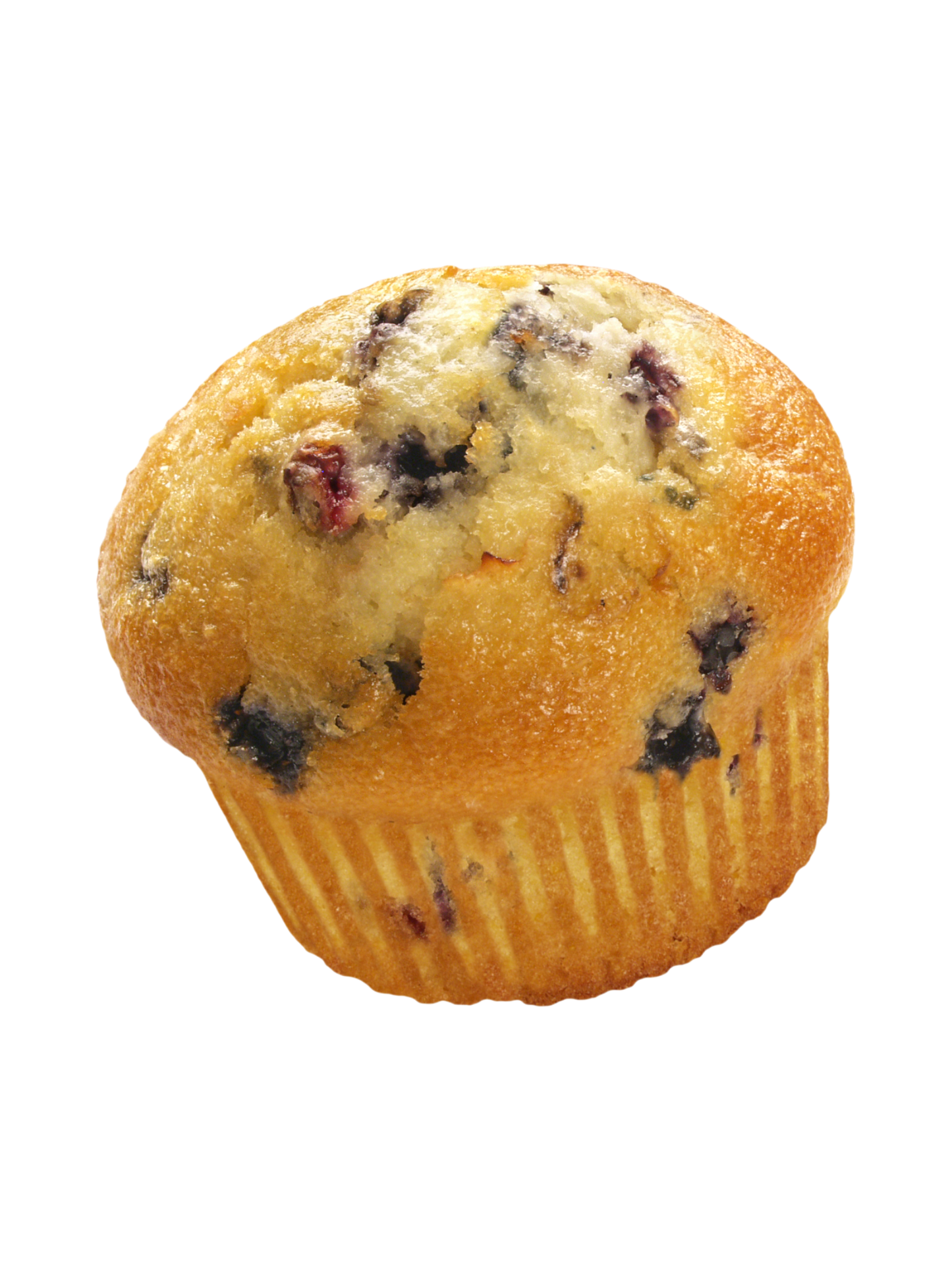 Blueberry Muffin